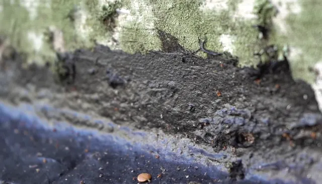 Close-up photo of a worn roof edge